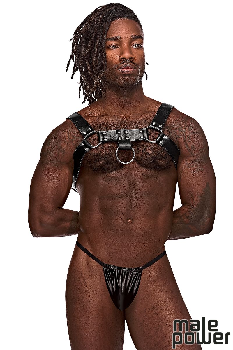 MEN'S CHEST HARNESS