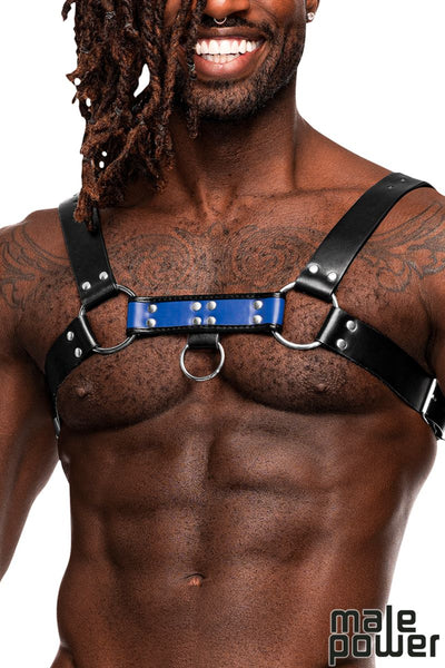 MEN'S CHEST HARNESS