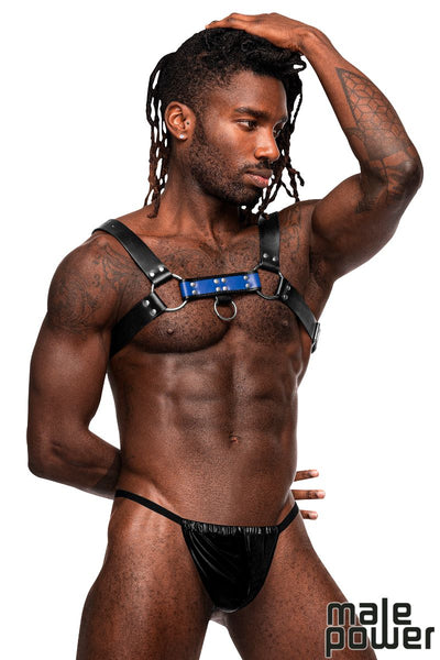 MEN'S CHEST HARNESS