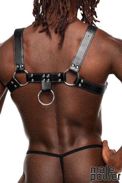 METAL STUD HARNESS