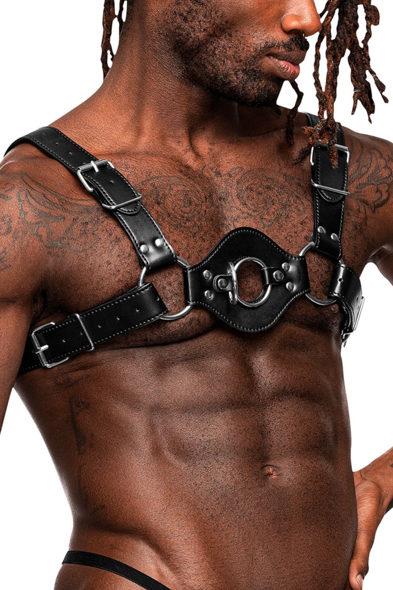 METAL STUD HARNESS