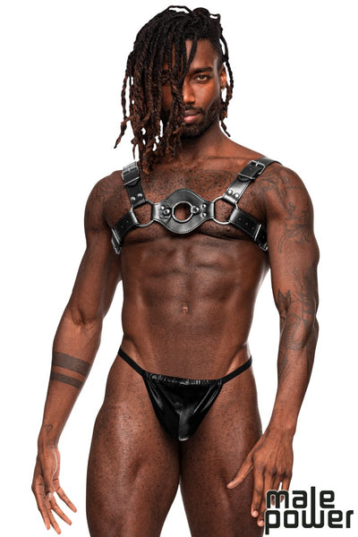 METAL STUD HARNESS