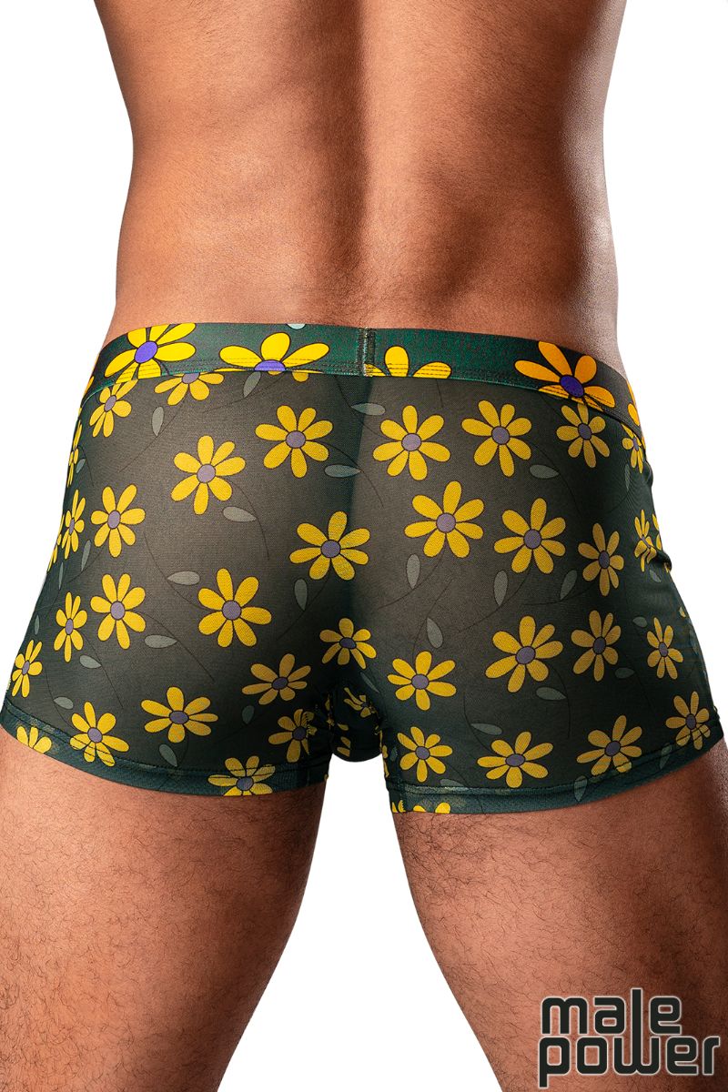 PETAL POWER SHORTS