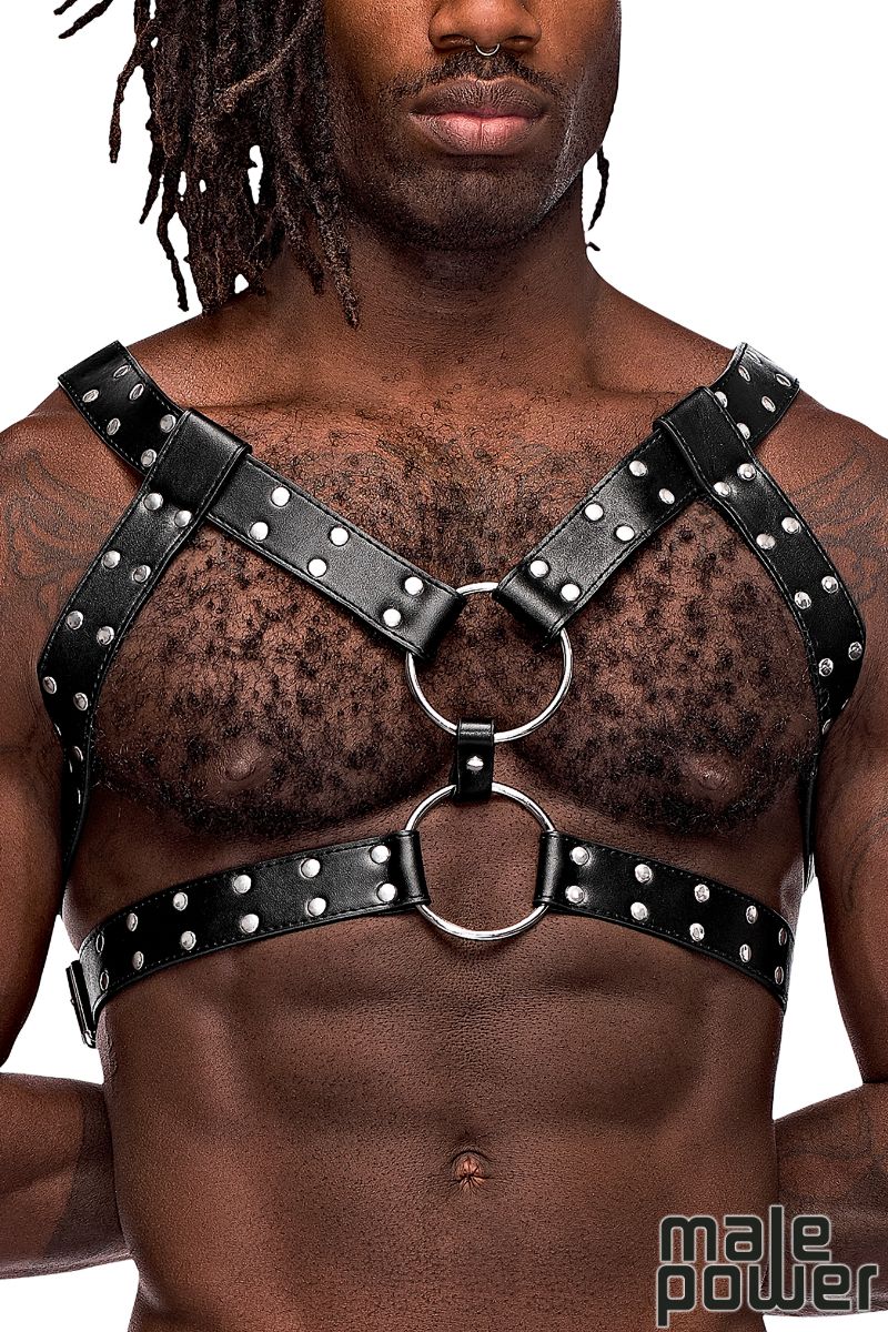 CHEST HARNESS