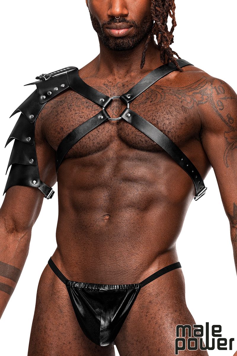 CHEST HARNESS