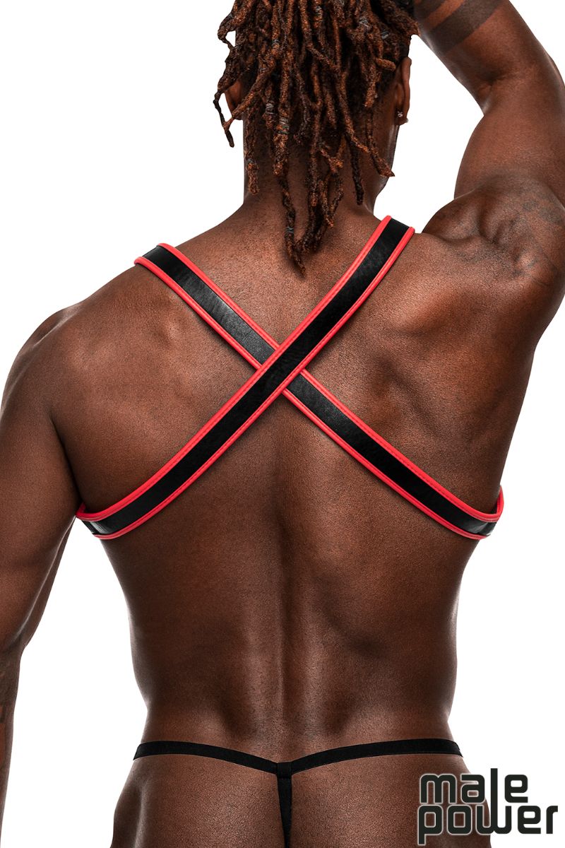 CHEST HARNESS