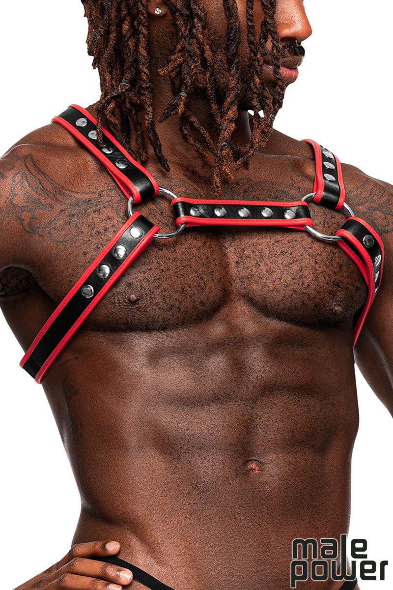 CHEST HARNESS