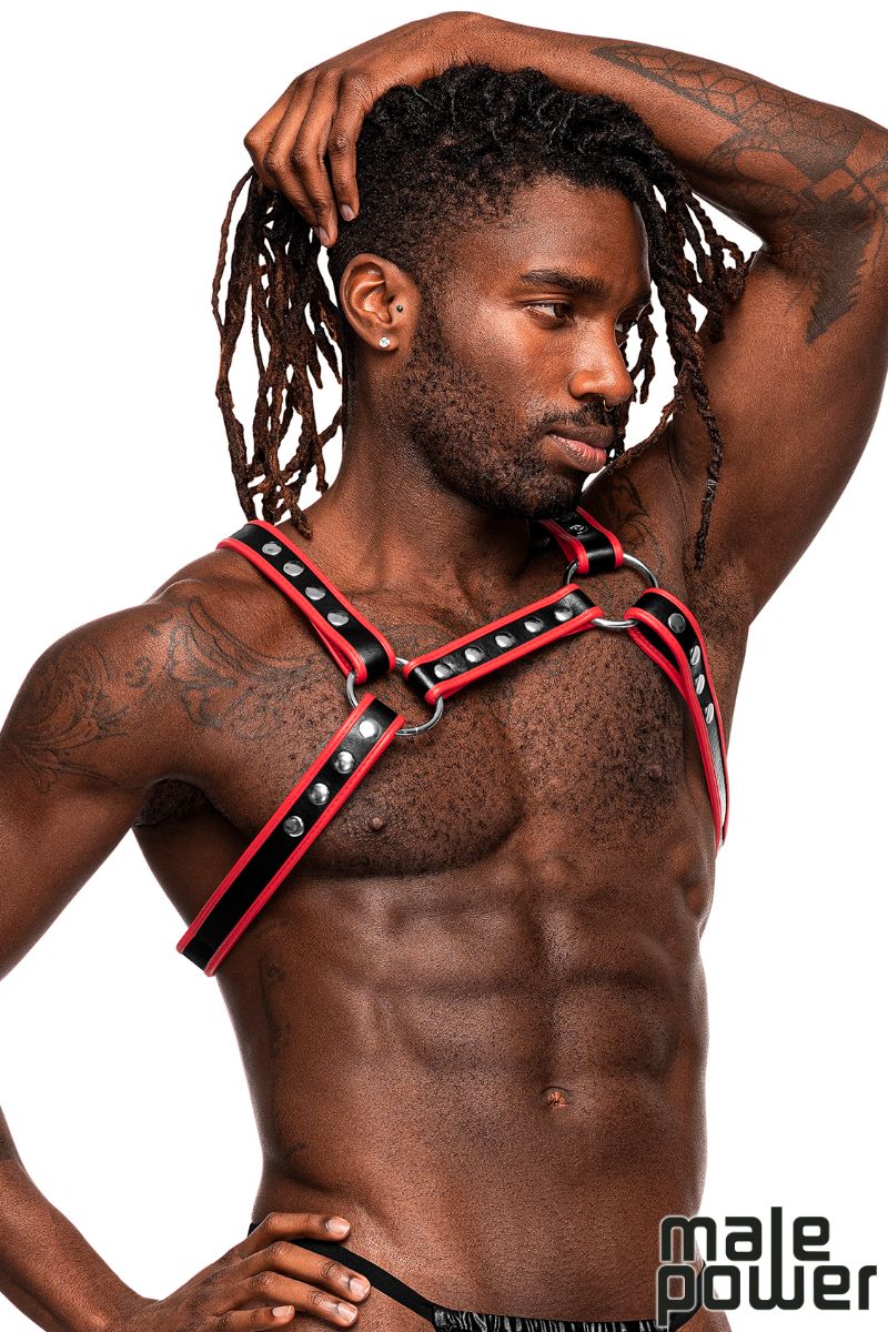 CHEST HARNESS