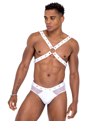MEN'S PRIDE HARNESS