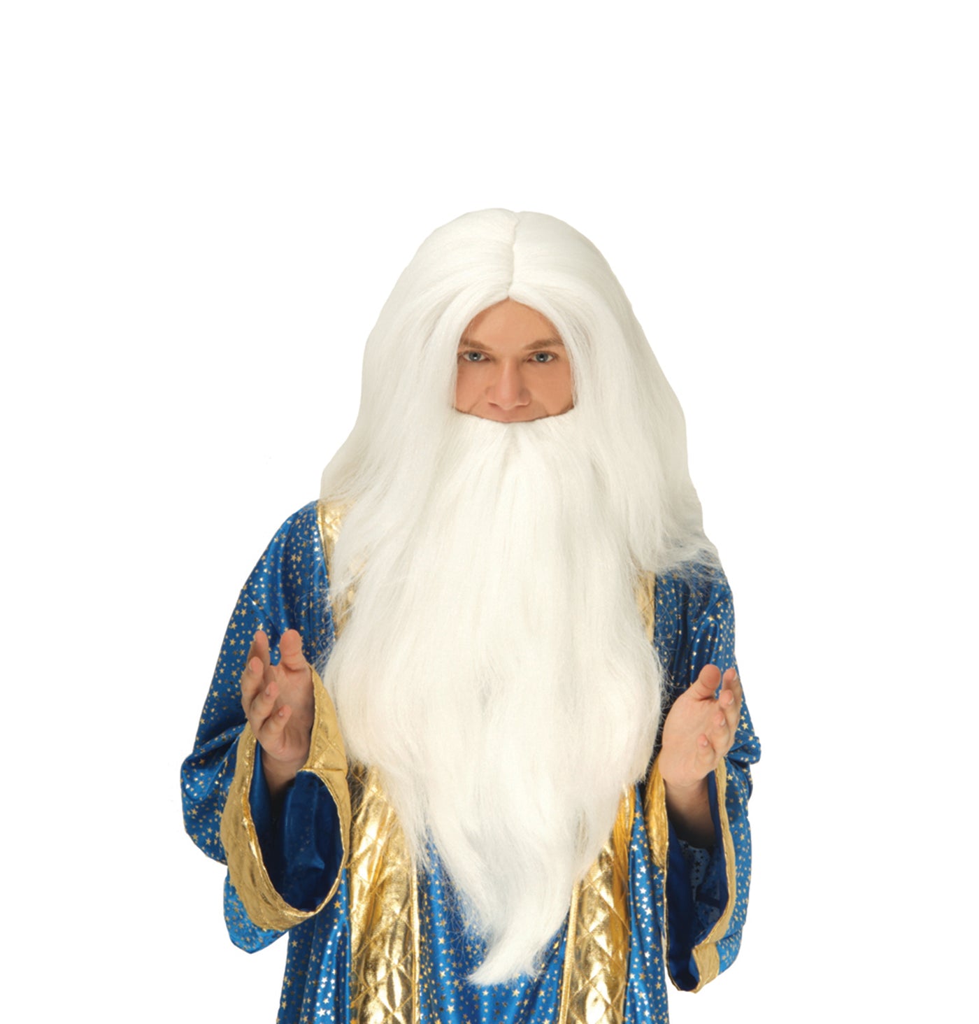 WIZARD WIG WITH BEARD